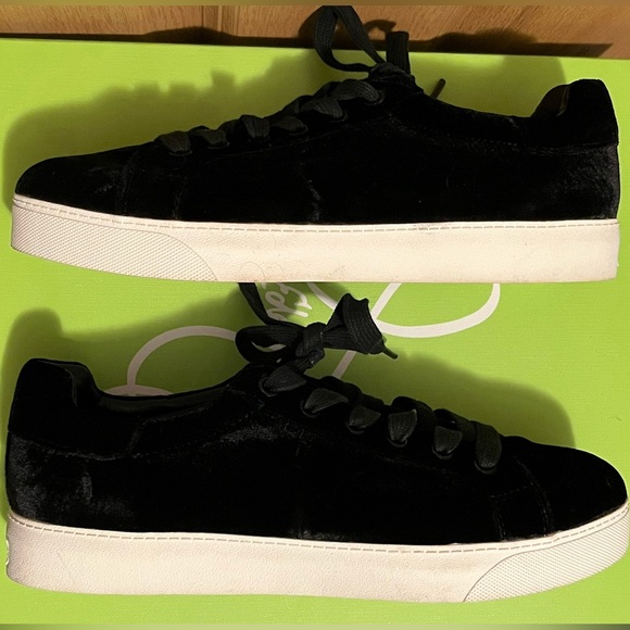 Circus Sam Edelman Caprice Velvet Sneaker - Picture 10 of 11